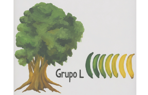 Grupo L celebra 20 años de crecimiento y transformación
